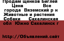 Продам щенков Биглей › Цена ­ 15 000 - Все города, Вяземский р-н Животные и растения » Собаки   . Сахалинская обл.,Южно-Сахалинск г.